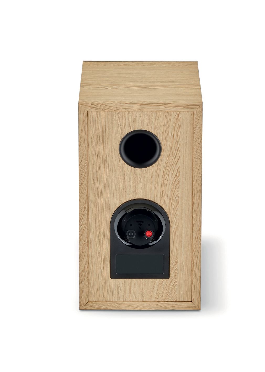 Focal Theva N°1 2-way Bookshelf Speakers in lightwood.  Individual speaker, back image