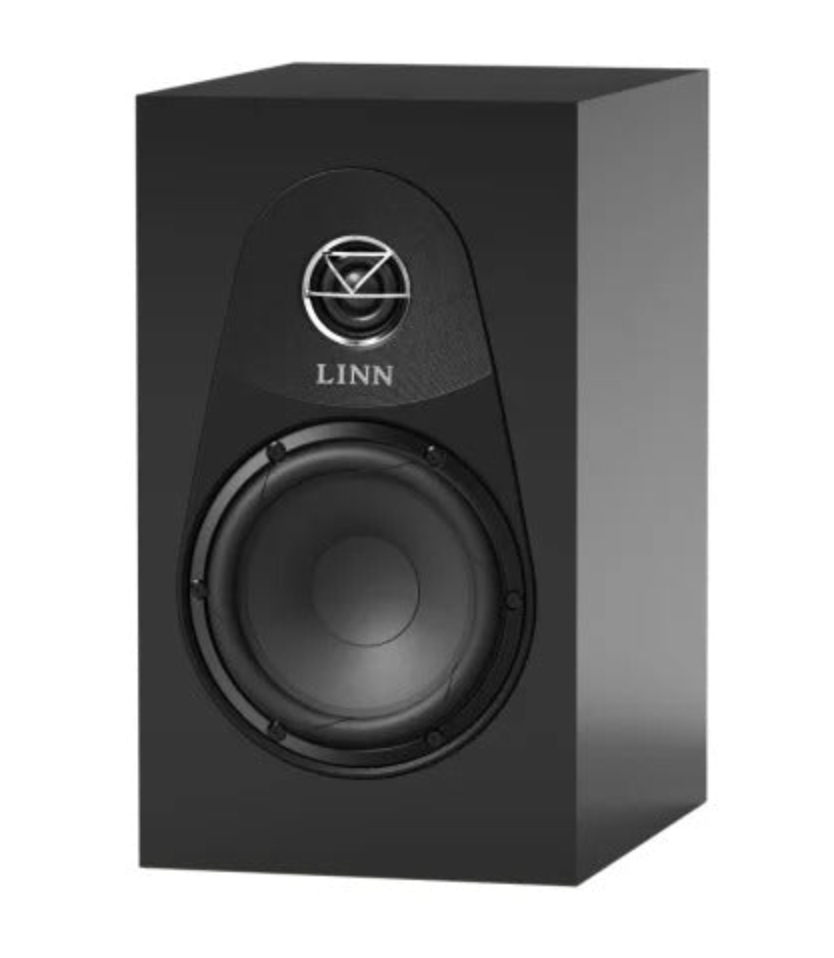 Linn 119 Bookshelf Speakers in Satin Black , front